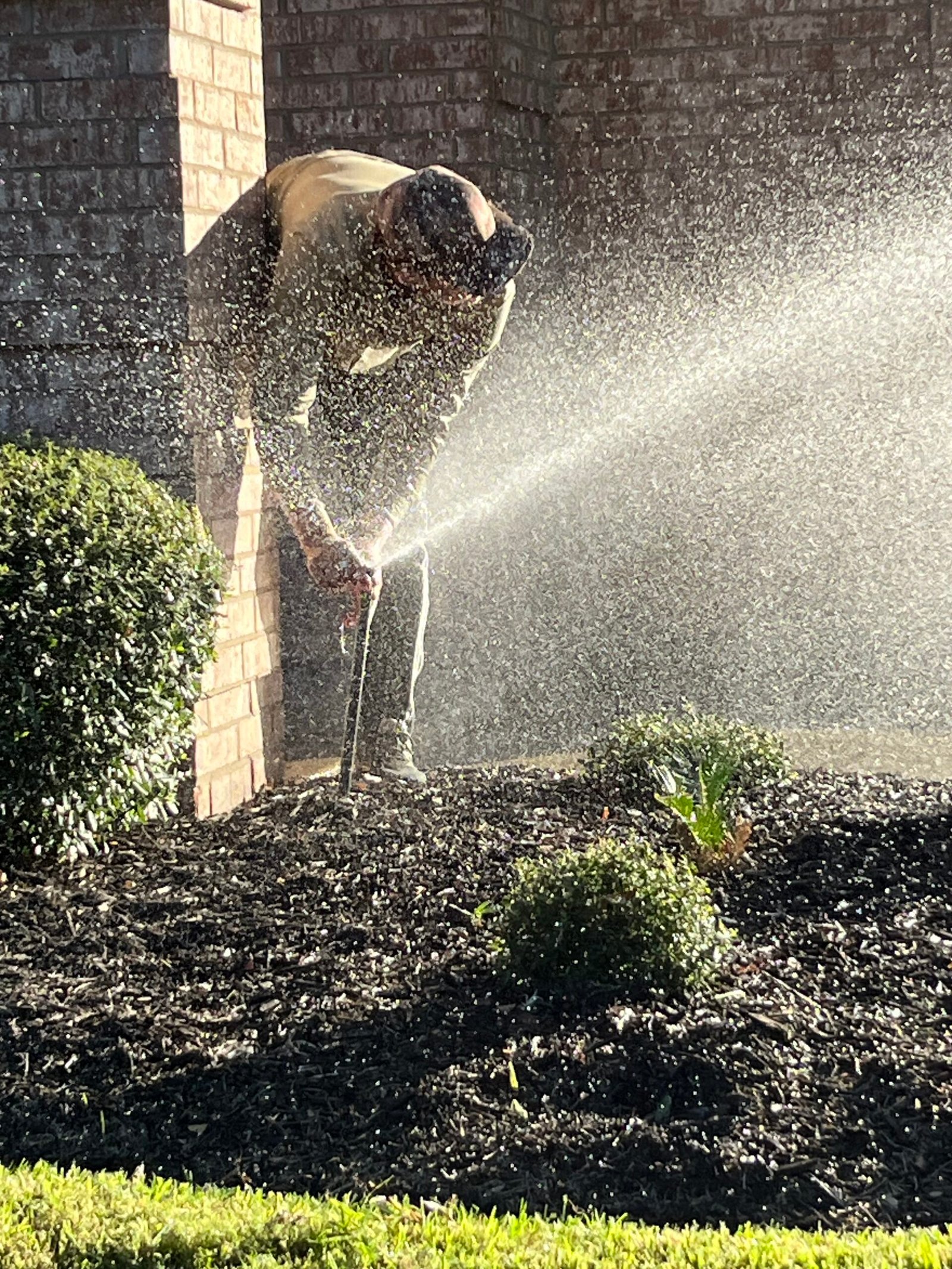 irrigation2